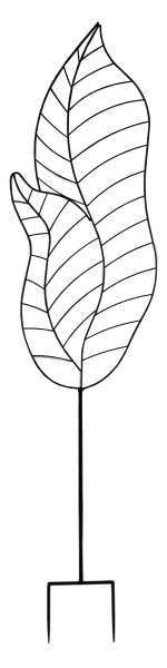 Wunderschönes Rankgitter Rankblatt  ca. 166 cm - Gartendekoration